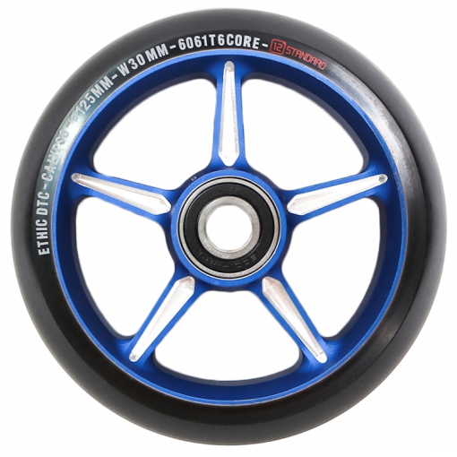 Ethic Calypso ritenis 125mm 12std