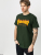 Thrasher майка Flame Forest Green