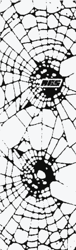 AFS Scooter Grip Tape