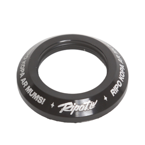 Ripot.lv Integrēta gultņu sistēma