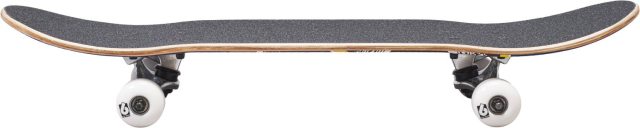 Birdhouse Complete skeitbords 7.38"
