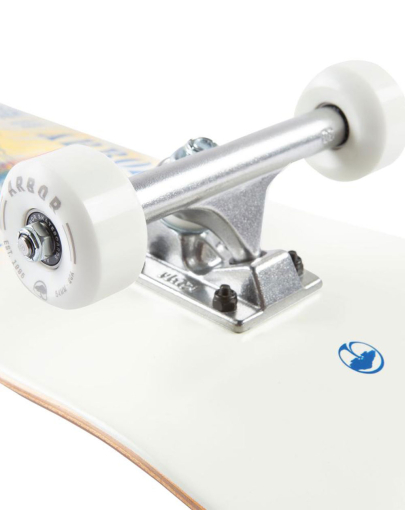 Arbor Whiskey Street 7.75 skateboard