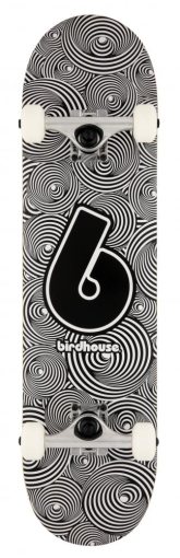 Birdhouse Complete skeitbords 7.75"