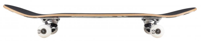 Birdhouse Complete skeitbords 7.75"