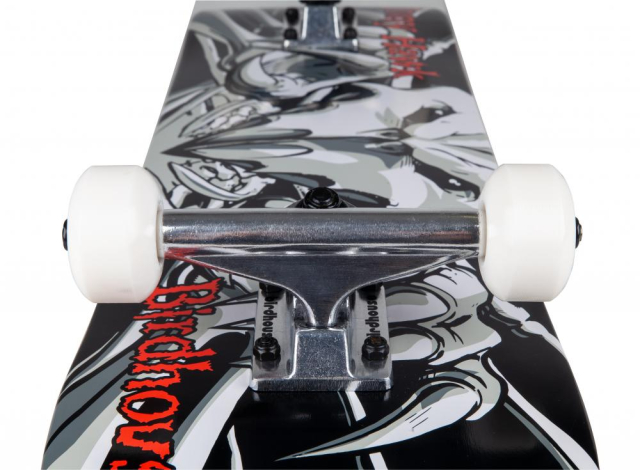 Birdhouse Complete skeitbords 7.75"