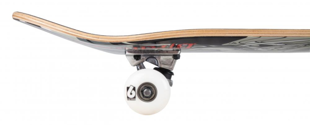 Birdhouse Complete skeitbords 7.75"