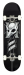 Birdhouse Complete skeitbords 8"