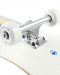 Arbor Whiskey Street 7.75 skateboard