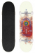 Arbor Whiskey Street 8.25 skateboard