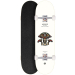 Arbor Whiskey Street 8.5 skateboard