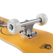 Arbor Whiskey Street 7.75 skateboard