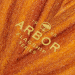 Arbor Performance longboard Flagship Dropcruiser 38