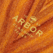 Arbor Performance longboard Flagship Axis 40