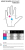 Fuse Chroma перчатки