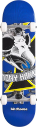 "Birdhouse Complete skeitbords 7.25"""