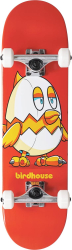"Birdhouse Complete skeitbords 7.38"""