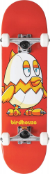 Birdhouse Complete skeitbords 7.38"